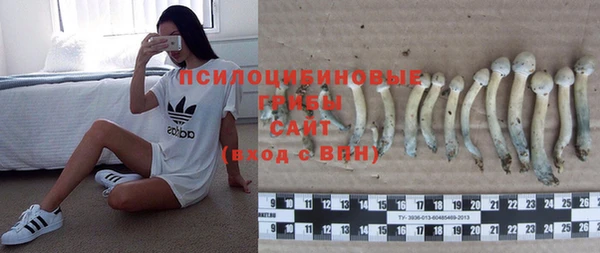 тгк Горняк