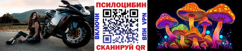 Галлюциногенные грибы MAGIC MUSHROOMS  Купить где  Сланцы 